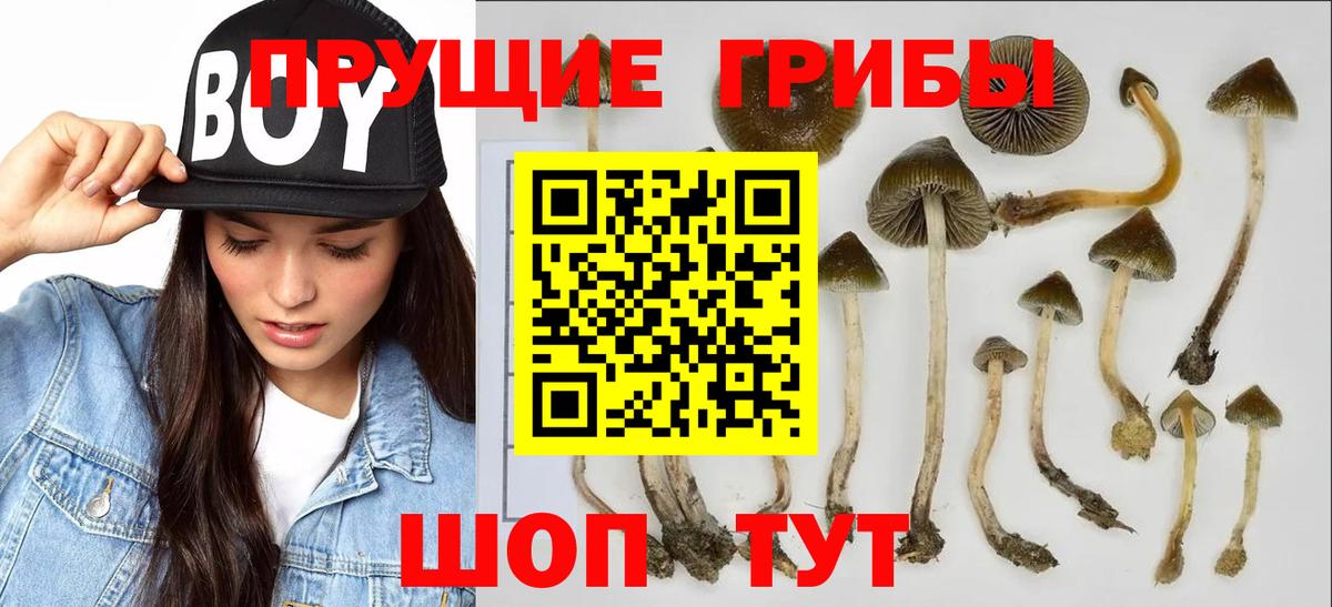 Топки  Галлюциногенные грибы ЛСД  Вход с VPN 